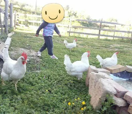 Casale Valle Agnese * Godrano